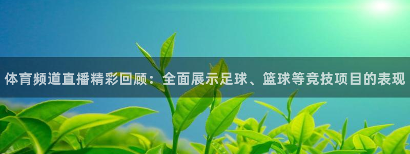 体育频道直播精彩回顾：全面展示足球、篮球等竞技项目的表现