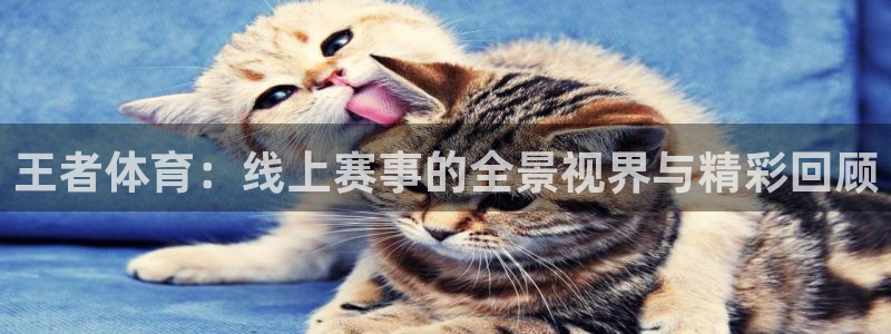 王者体育：线上赛事的全景视界与精彩回顾