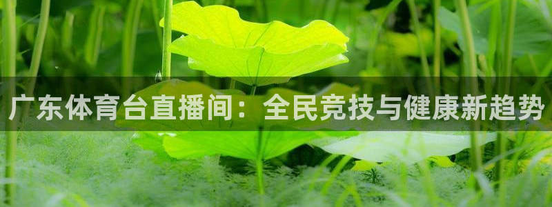广东体育台直播间：全民竞技与健康新趋势