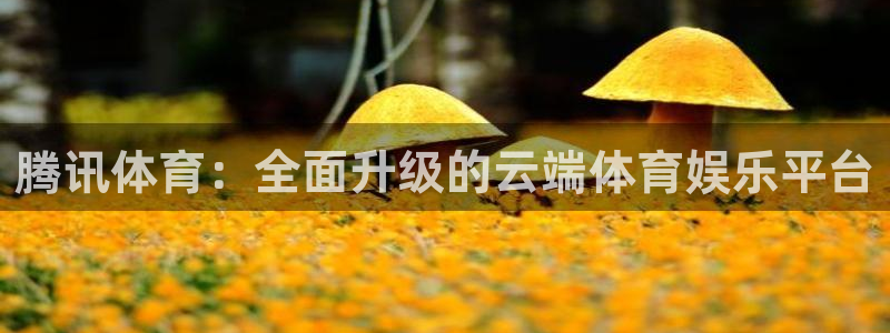 腾讯体育：全面升级的云端体育娱乐平台