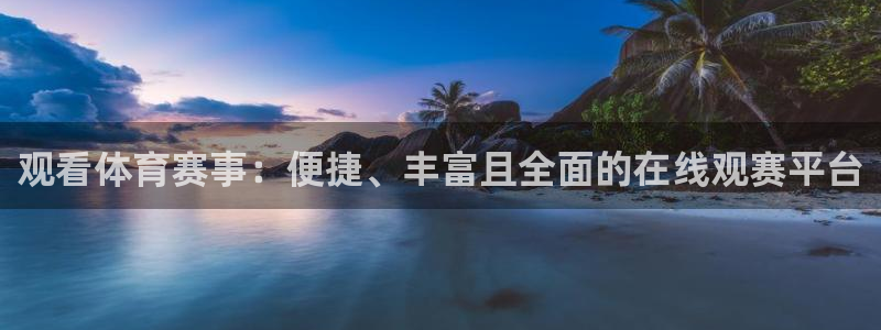 观看体育赛事：便捷、丰富且全面的在线观赛平台