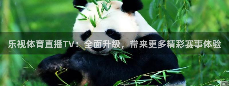 乐视体育直播TV：全面升级，带来更多精彩赛事体验
