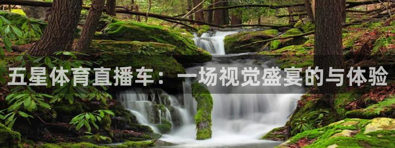 五星体育直播车：一场视觉盛宴的与体验