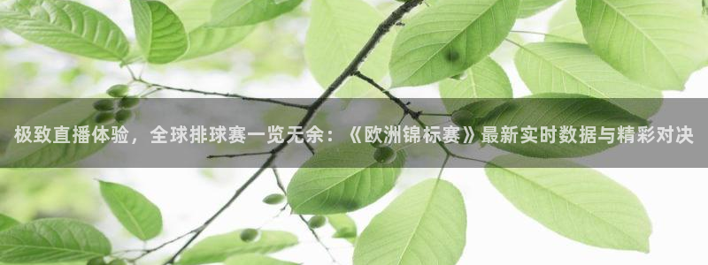 极致直播体验，全球排球赛一览无余：《欧洲锦标赛》最新实时数据与精彩对决