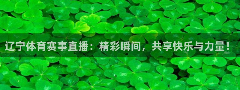 辽宁体育赛事直播：精彩瞬间，共享快乐与力量！