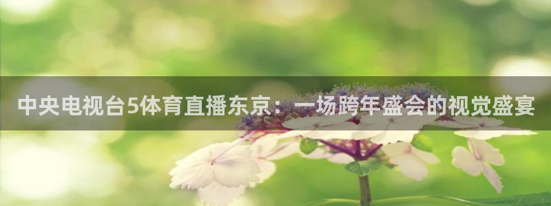 中央电视台5体育直播东京：一场跨年盛会的视觉盛宴