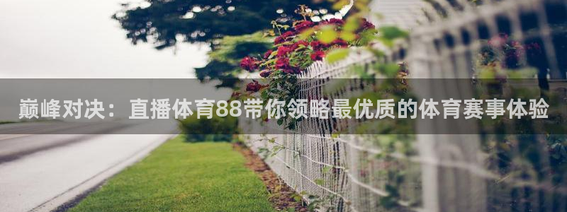 巅峰对决：直播体育88带你领略最优质的体育赛事体验