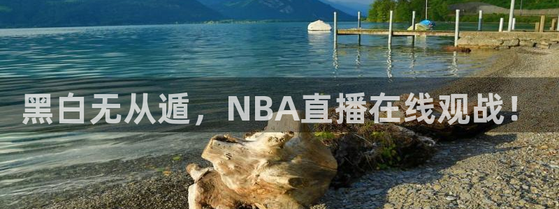 黑白无从遁，NBA直播在线观战！