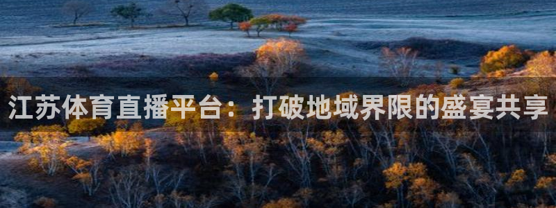 江苏体育直播平台：打破地域界限的盛宴共享