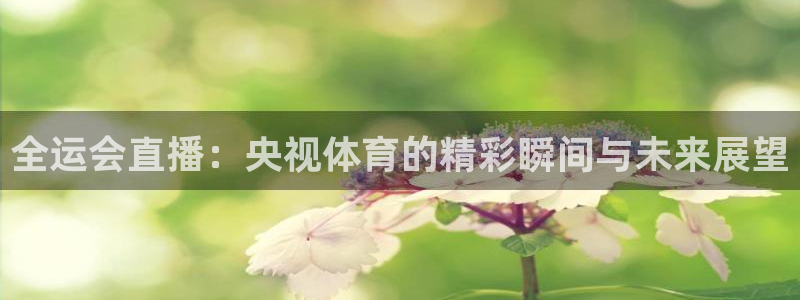 全运会直播：央视体育的精彩瞬间与未来展望