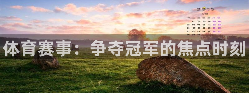 体育赛事：争夺冠军的焦点时刻