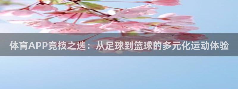 体育APP竞技之选：从足球到篮球的多元化运动体验