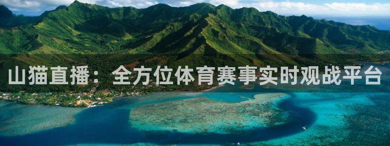 山猫直播：全方位体育赛事实时观战平台