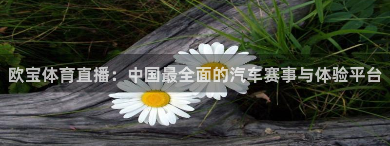 欧宝体育直播：中国最全面的汽车赛事与体验平台