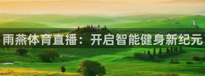雨燕体育直播：开启智能健身新纪元