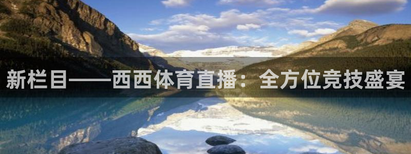 新栏目——西西体育直播：全方位竞技盛宴