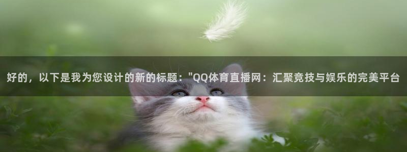 好的，以下是我为您设计的新的标题：\