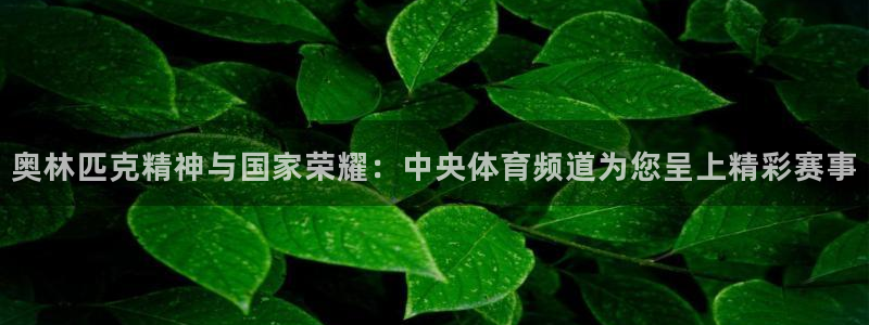 奥林匹克精神与国家荣耀：中央体育频道为您呈上精彩赛事