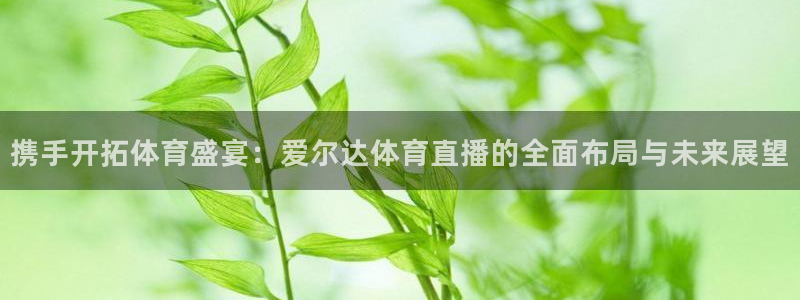 携手开拓体育盛宴：爱尔达体育直播的全面布局与未来展望