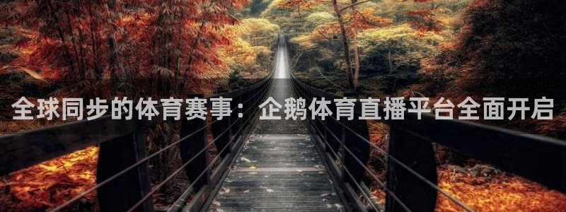 全球同步的体育赛事：企鹅体育直播平台全面开启