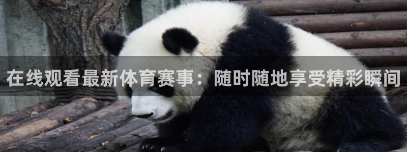 在线观看最新体育赛事：随时随地享受精彩瞬间