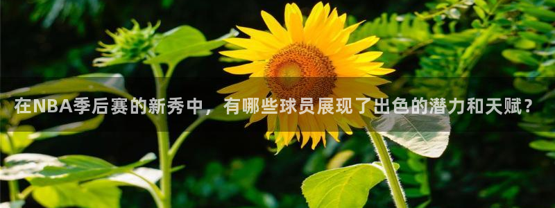 在NBA季后赛的新秀中，有哪些球员展现了出色的潜力和天赋？