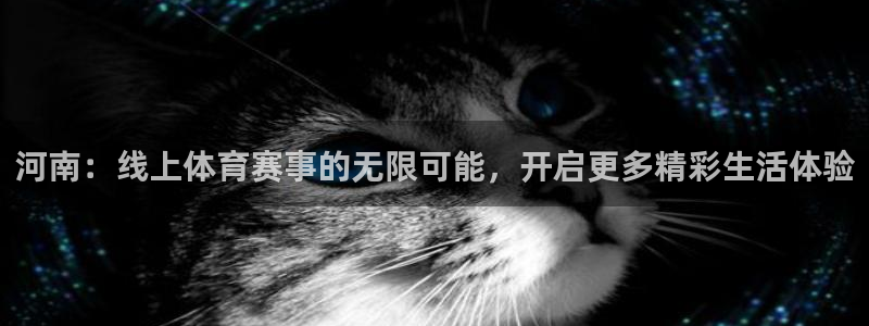 河南：线上体育赛事的无限可能，开启更多精彩生活体验