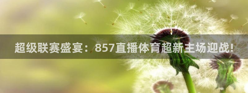 超级联赛盛宴：857直播体育超新主场迎战!
