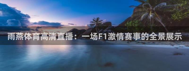 雨燕体育高清直播：一场F1激情赛事的全景展示